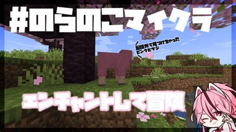 【minecraft のらのこマイクラ】初見さん大歓迎 エンチャントして冒険！【新人vtuber桜乃とうか】 Minecraft