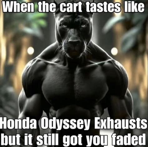 An Image Of A Bodybuilding Man With The Caption When The Cart Tastes