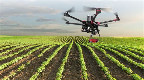 Agricultura Y Ganader A A Distancia En Tiempos De Coronavirus