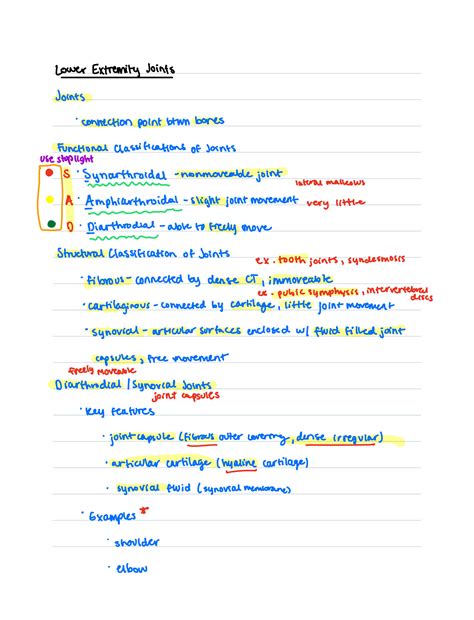 SOLUTION: Anatomy lower extremity joints lecture - Studypool