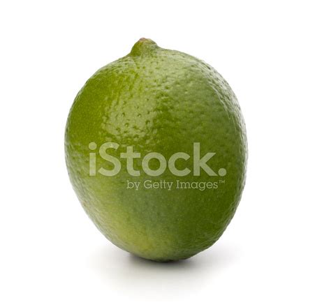 Lime Fruit Stock Photo | Royalty-Free | FreeImages