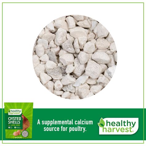 Oyster Shells 5 Lb Bag Calcium Source For Poultry Healthy Harvest Healthy Harvest Feed