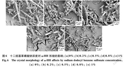 转晶剂对na2so4 乙二醇水体系中磷石膏制备的α 半水石膏晶体形貌的影响参考网