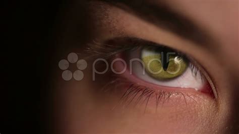 Human eye cat eyeball Stock Footage #AD ,#cat#eye#Human#Footage