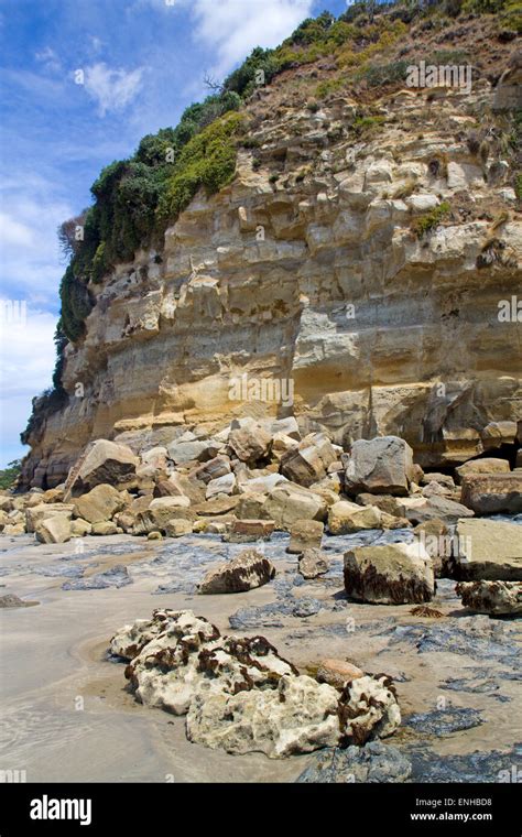 Fossils Tasmania Hi Res Stock Photography And Images Alamy