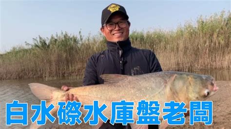 【鄧剛釣魚】白水磜水庫盤老闆合集，第一次慘被老闆盤，再戰一次能否成功復仇？ Youtube