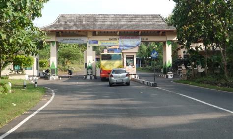 Pantai Kukup Jogja Menikmati Keindahan Tanah Lot Dengan Kearifan Lokal