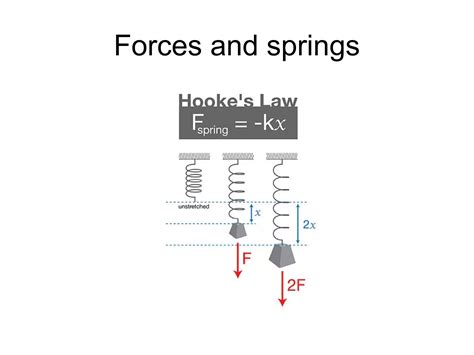 Lesson Hooke S Law Ppt