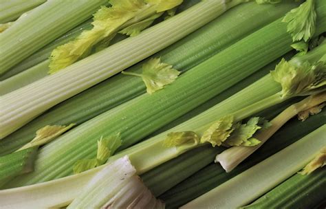 Can You Freeze Celery? – Yes, Here’s How - Robust Kitchen