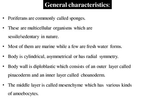 Solution Phylum Porifera Studypool