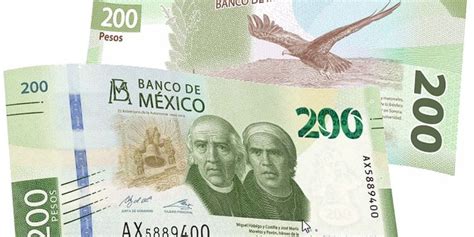 Xochimilco S Endemic Axolotl To Appear On New 50 Peso Bill 40 OFF