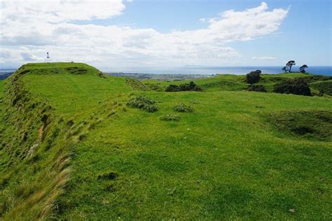 Papamoa Hills Cultural Heritage Regional Park | motowalknz