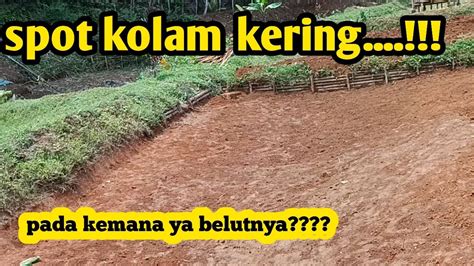 NEKAD MANCING BELUT DI MUSIM KEMARAU YouTube