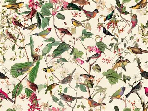 Midsummer Birds Garden Wallpaper Happywall