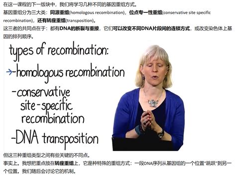 Mit 分子生物学 Part2 111 Lntroduction To Gene Recombination 哔哩哔哩