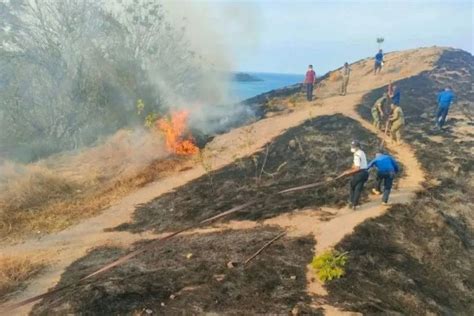 BMKG Ingatkan Masyarakat Tiga Kabupaten Di NTT Waspada Angin Kencang