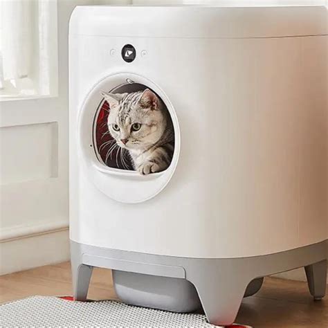 Best Cat Litter Boxes Of 2023 Ph