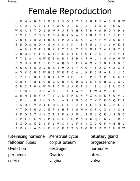 Female Reproduction Word Search WordMint