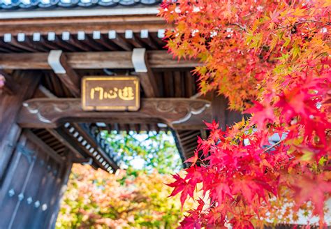 日本の古寺・寺院 100選「永観堂」／ホームメイト