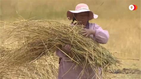 Andes Farmers Pray For Rain Amid Drought Youtube