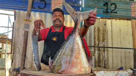 Kasimedu Speed Selvam Giant Travelly Fish Tail Cutting Video Hd