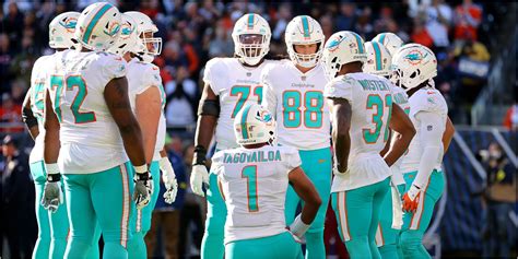 miami dolphins team  find     key  yo star