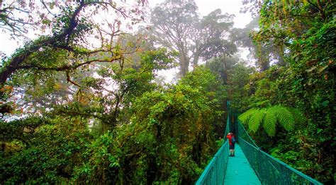 Monteverde Cloud Forest Costa Rica Travel Excellence