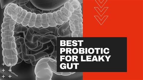 Best Probiotic For Leaky Gut YouTube