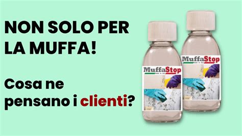 Muffa Stop TRUFFA Recensioni C è da Bricoman o su Amazon