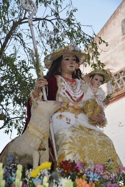 Provincia Huévar del Aljarafe celebró la Romería en honor de su