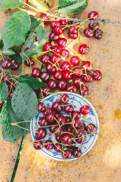 Premium Photo | Sour cherries