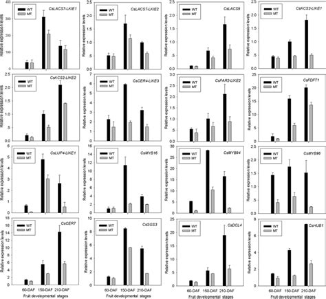 The Expression Profiles Of Differentially Expressed Genes Degs