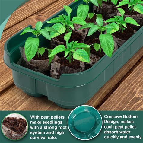 Snapklik Bigmeta 6 Pack Seed Starter Kit 60 Cells Adjustable