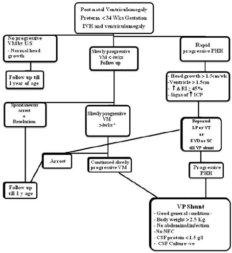 Management Of Neonatal Hydrocephalus Download Scientific Diagram