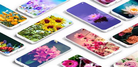 Flower Wallpaper Apk For Android Download