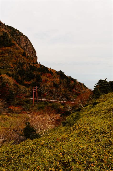 One Of The Most Underrated Hiking Destinations Descent From Hallasan