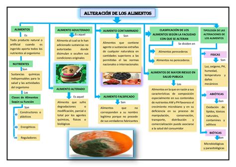 MAPA Conceptual DE Alteracion DE LOS Alimentos AlteraciÛn de los