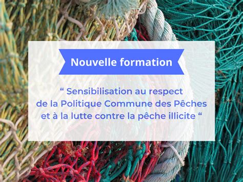 Formation De Sensibilisation La Pcp Lyc E Maritime De Boulogne Sur