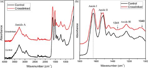 Atr Ftir Spectra Of Control And Cross Linked Wool Fibers From A