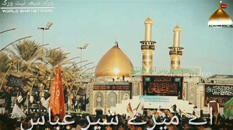 ROKE ZAINAB NE KAHA AYE MERE SHER ABBAS NEW NAUHA STATUS WORLD SHIA