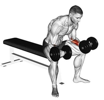 Dumbbell Wrist Curls Basic Form And Advanced Training Tricks Member