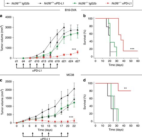 Gene Ablation Of Nr F Acts As Sensitizer For The Established Immune