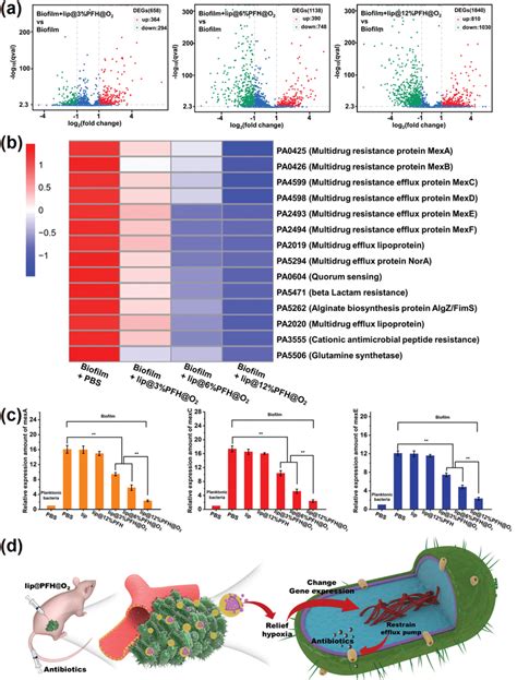 A Volcano Plot Of Gene Expression Differences Between P Aeruginosa Download Scientific