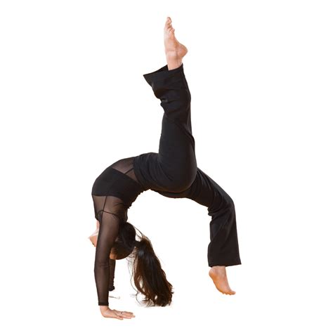 repertoire full length productions  dance company