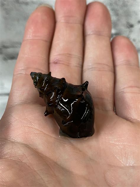 Pagoda Snail