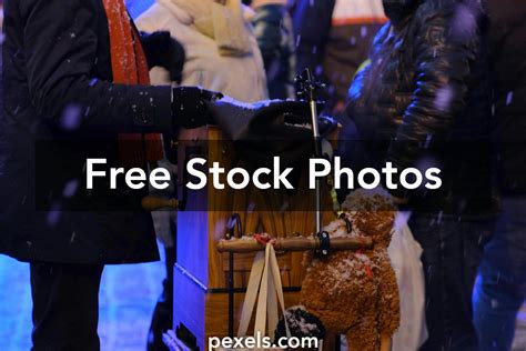 Snowfall Show Photos, Download The BEST Free Snowfall Show Stock Photos