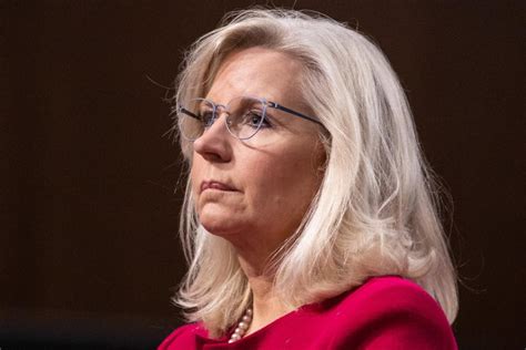 Liz Cheney claims she knows Mike Johnson 'well' – and it's not a compliment