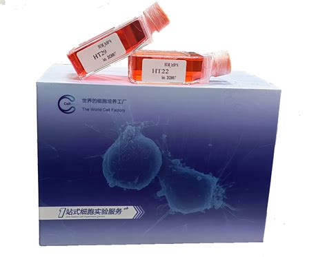 人乳腺导管癌细胞 Str鉴定 镜像绮点（cellverse）hcc70 阿仪网