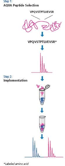 Absolute Quantification Of Serum Proteome