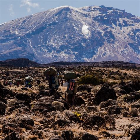 Hiking Kilimanjaro Via Northern Circuit Route 9Day - Hiking Kilimanjaro